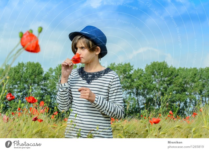 poppy field Child Girl Infancy Youth (Young adults) 1 Human being 8 - 13 years Stand Dream Poppy Poppy blossom Poppy field Field Crops Hat Straw hat Odor