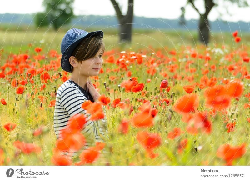 poppy field Human being Feminine Girl Infancy Youth (Young adults) 1 8 - 13 years Child Nature Landscape Plant Beautiful weather Meadow Field Poppy Poppy field