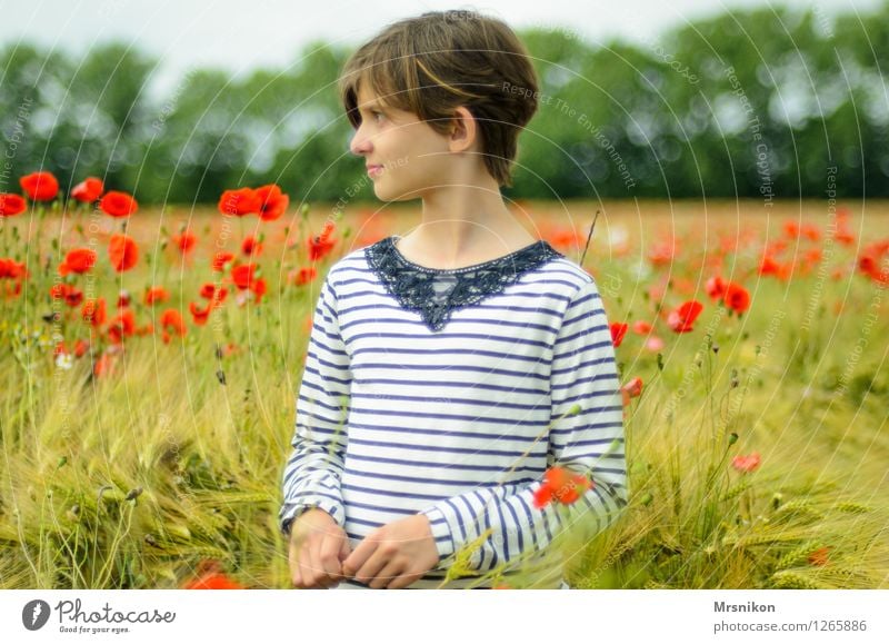 poppy field Girl Infancy Youth (Young adults) Life 1 Human being 8 - 13 years Child Summer Field Blossoming Looking Stand Fantastic Free Happy Infinity Poppy