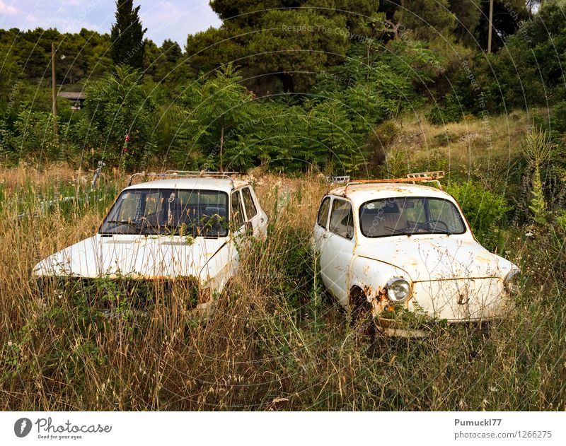 Old couple Grass Bushes Meadow Forest Vehicle Car Poverty Together Gloomy Yellow Green White 2 Rust Loneliness Colour photo Exterior shot Deserted Day