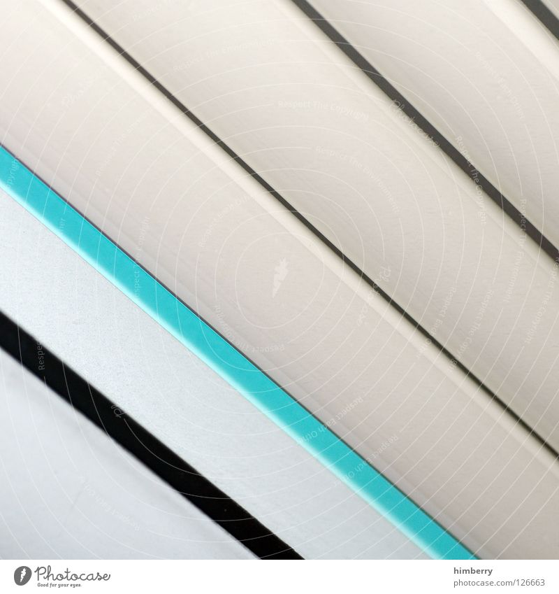disguise issue Furrow Dazzle Pattern Turquoise Green White Background picture Design Interior design Fashioned Product Venetian blinds Roller blind Drape