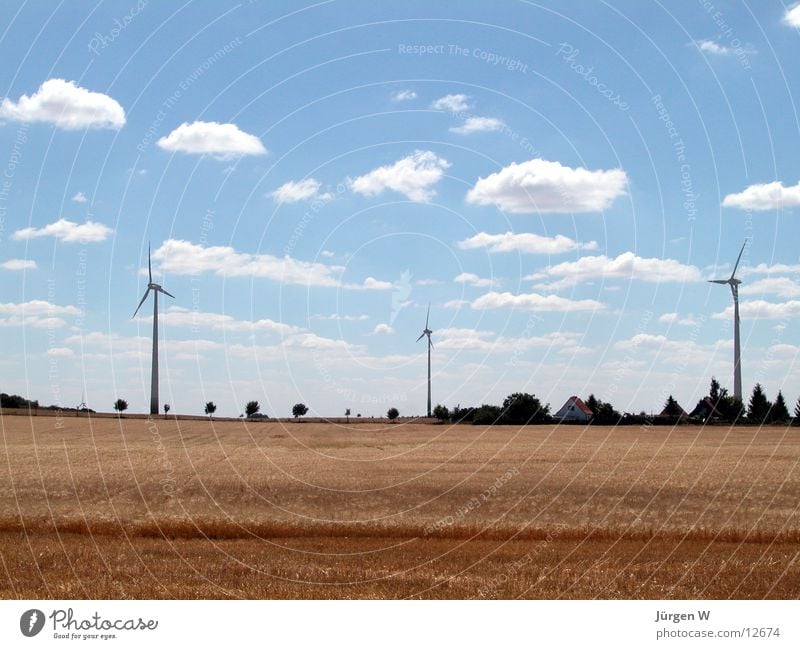 Three Brothers Field Clouds Summer Wind energy plant Grain Nature Sky Blue