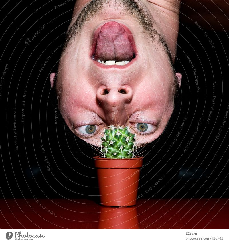 Grow up, will you? Growth Looking Cap Black Facial hair Cactus Man Plant Red Self portrait Table Inverted Funny Crazy Gap Glittering Dark Hand Fingers