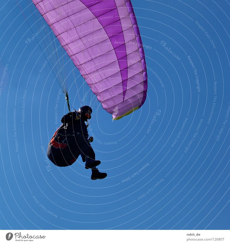 Modern wing Paragliding Paraglider Glide Hover Violet To fall Landing Strip Airfield Warmth Helmet Gloves Working clothes Small room Baseball cap Extreme sports