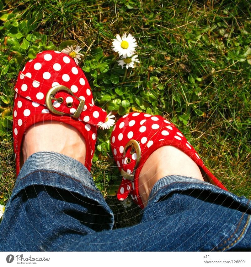 In Her Shoes III Skin Summer Woman Adults Feet Nature Plant Spring Flower Grass Blossom Meadow Clothing Pants Jeans Footwear Blue Green Red White Obedient Point