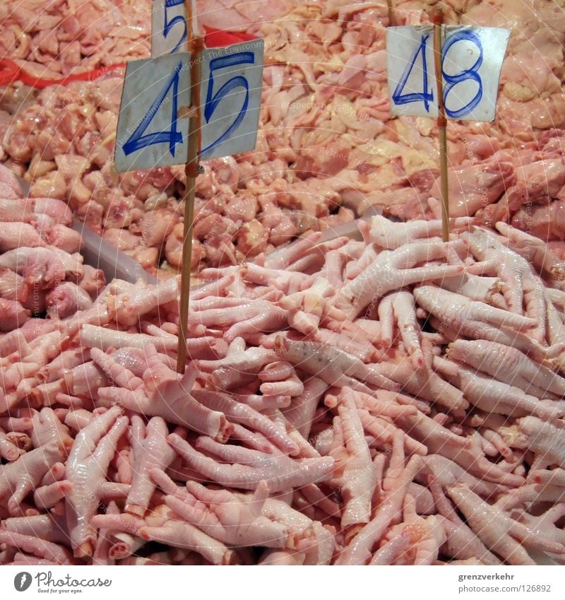 chicken fright Colour photo Meat Nutrition Trade Feet Claw Going Walking Disgust Hideous flesh colour poulterer fryers chicken feet chicken claws innards