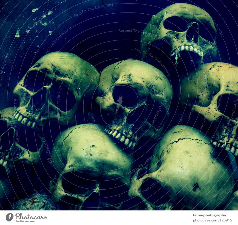 death proof Skeleton Brain and nervous system Disastrous Poisoned Drown Ocean Bottom of the sea Algae Creepy Horror film Fear Nightmare Grave Cemetery Dangerous