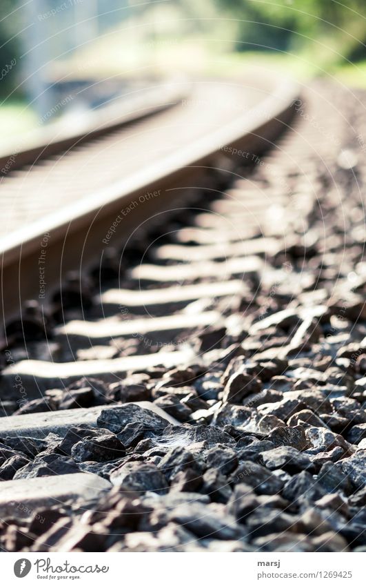 Next to the rail... Railroad tie Railroad tracks Gravel Stone Simple Curve Vacation & Travel Traffic infrastructure Colour photo Subdued colour Exterior shot