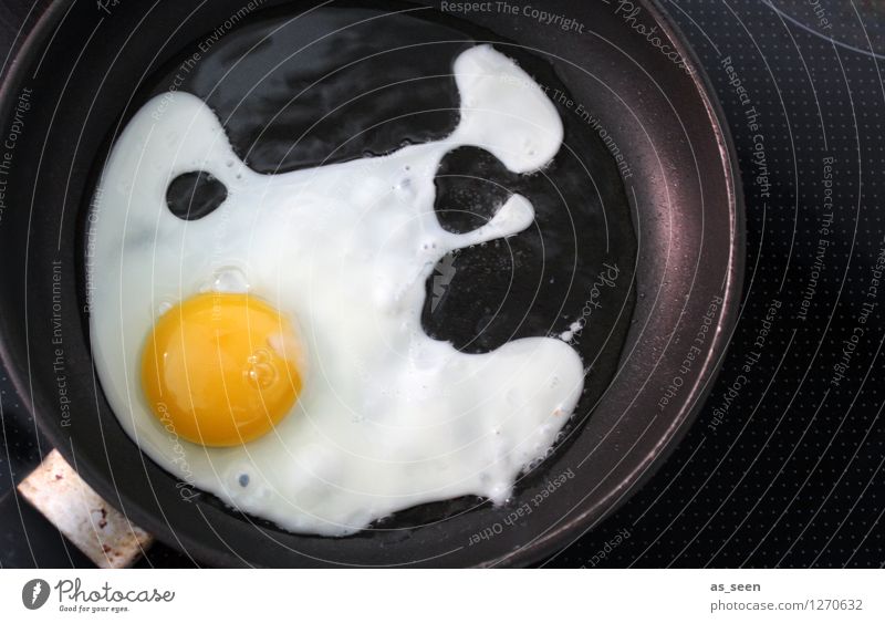 First an egg in the pan ... Food Egg Fried egg sunny-side up Yolk Protein Nutrition Breakfast Lunch Buffet Brunch Organic produce Vegetarian diet Diet Pan