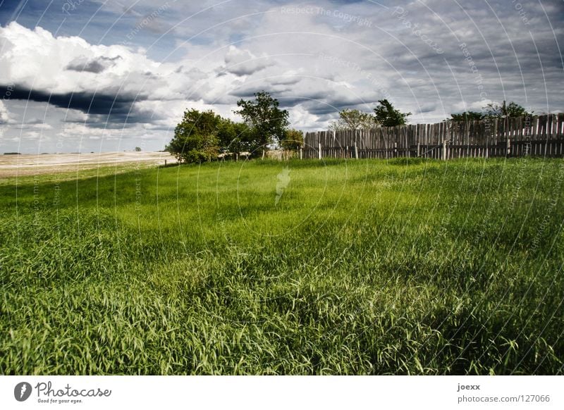 force fields Remote Field Farm Threat Clouds Canada Dark Loneliness Grass Gray Green Home country Horizon Idyll Intensive Agriculture Mood lighting Manitoba