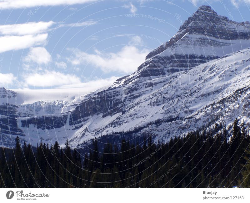 Bow Glazier / Bow Glacier Canada Snowscape Winter Mountain bow glazier Rocky Mountains