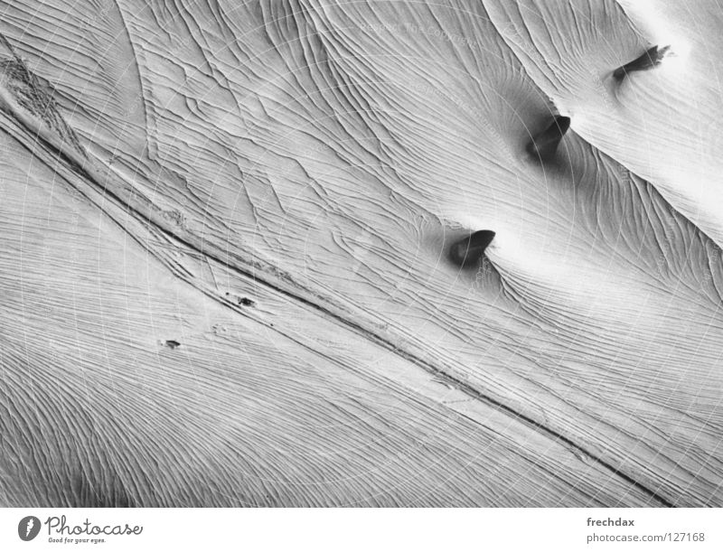 pachyderms Glacier Fat Ice age Ski tour Vacation & Travel Cold Ski tracks Perpetual ice Frozen Austria Canton Graubünden Switzerland Black & white photo