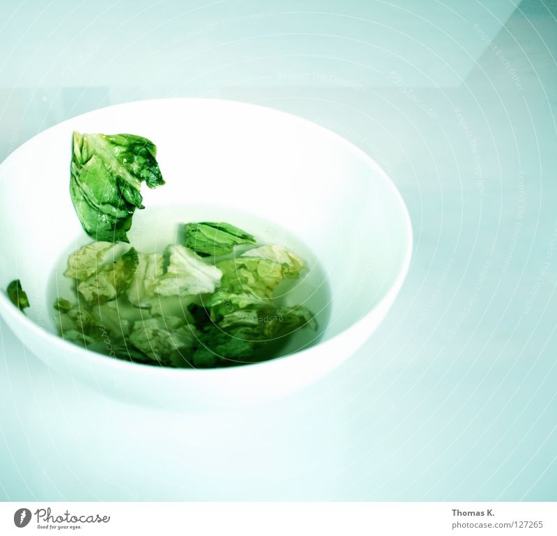 Don't think outside the box Lettuce Vinegar Salad leaf Green White Vegetable Bowl marinade Oil