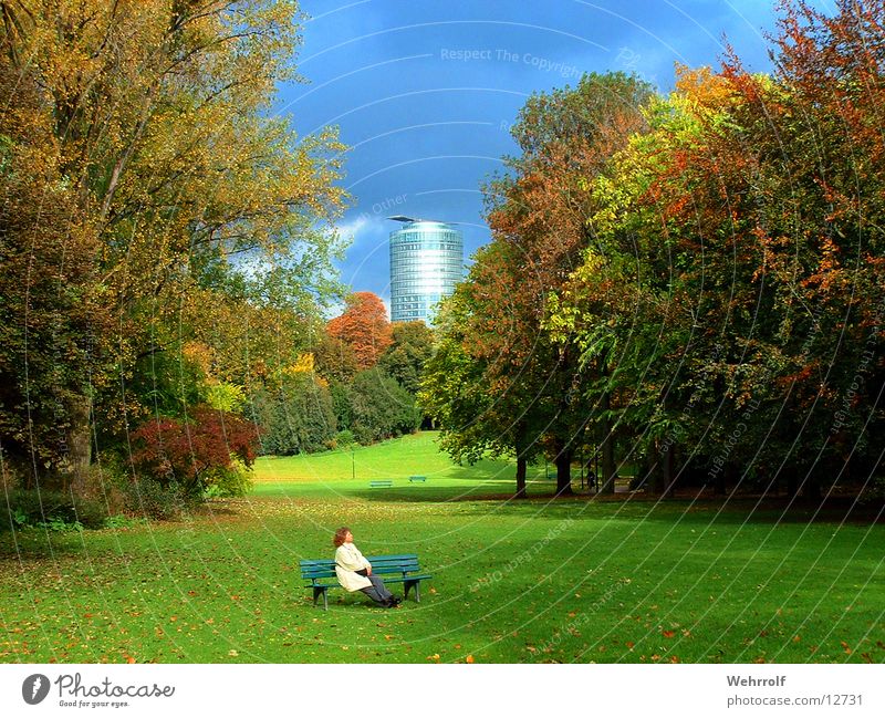 Relaxation in the park Park Meadow Woman Tree Hofgarten Bench Duesseldorf