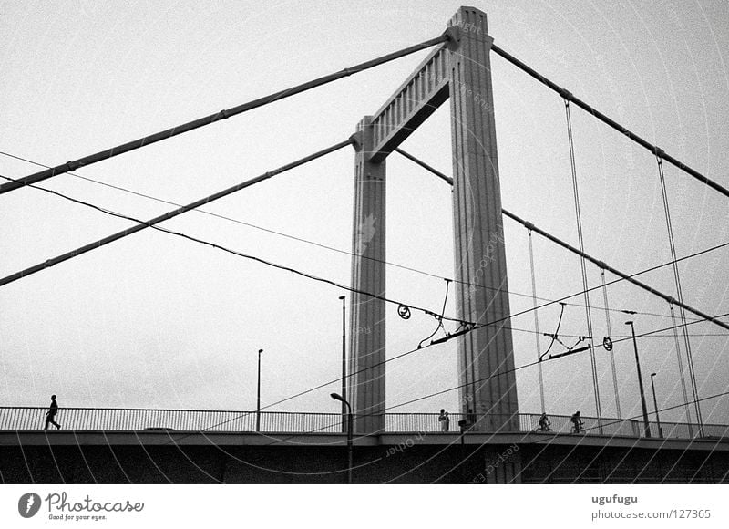 the bridge Budapest Bridge walk wires black white concrete