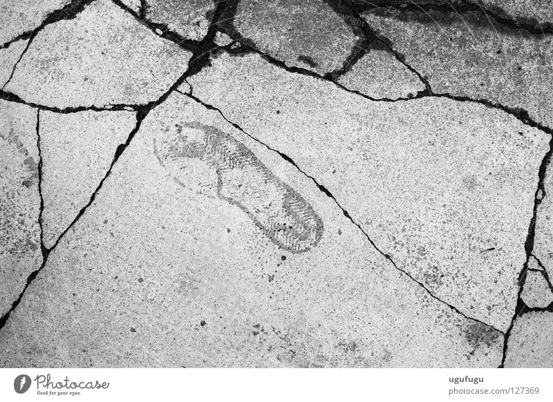 A step in the right direction Coach Black & white photo foot Printed Matter pavement concrete cracks track imprinted black ground