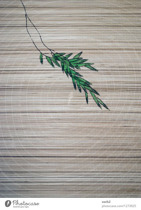 fragile Art Work of art Painting and drawing (object) Culture Leaf Twig Wood Hang Thin Above Spring fever Design Fragile China Asian snack bar Snack bar