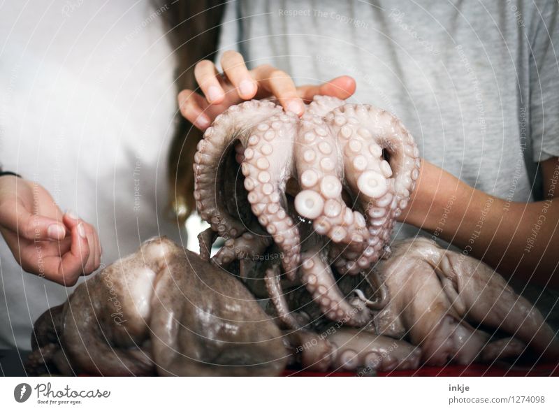 Octopus 2 Lifestyle Human being Girl Boy (child) Brothers and sisters Infancy Youth (Young adults) Hand Animal Wild animal Dead animal Squid Octopods