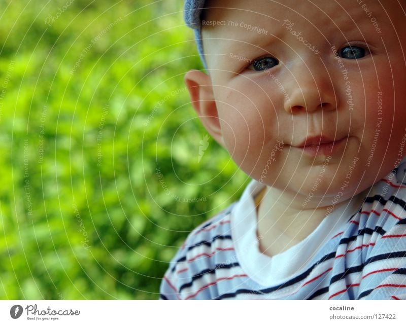 what's up? Baby Child Saliva Skeptical Toddler Cap Striped Eyebrow Challenging Gnome Sweet Portrait photograph Facial expression Looking Boy (child) drool Eyes