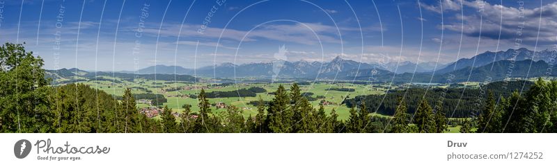alpine panorama Vacation & Travel Tourism Trip Sightseeing Summer Summer vacation Nature Landscape Plant Sky Clouds Forest Mountain Peak Relaxation Blue Green