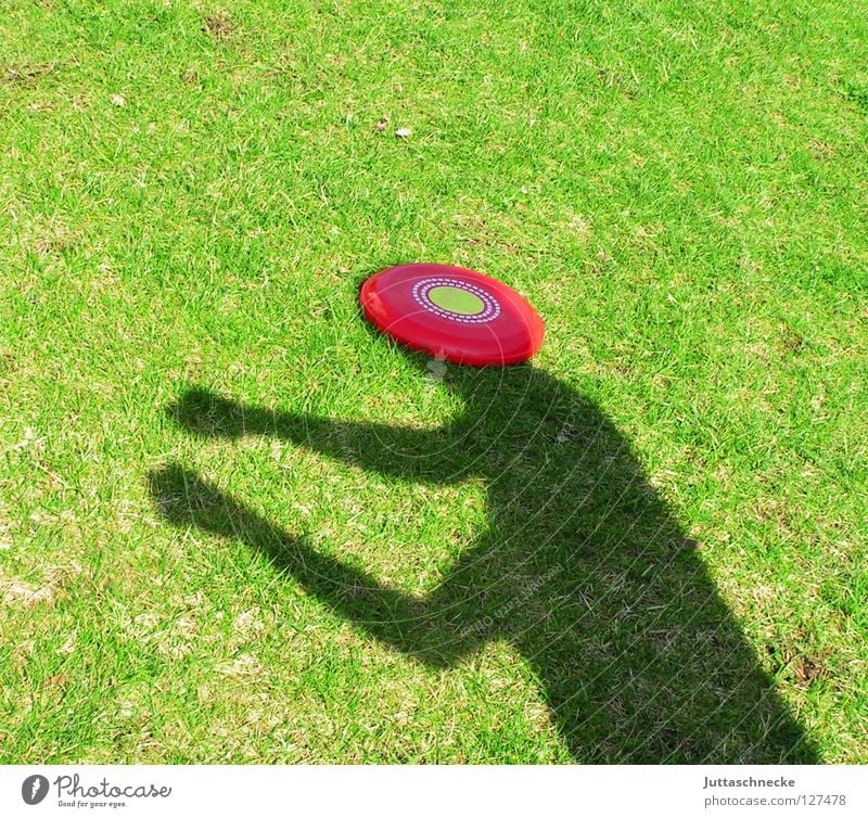The world is a disc Frisbee Silhouette Green Red Grass Discus Playing Headache Joy Window pane Shadow Sun Garden shadow boxing Loudspeaker Juttas snail Funny