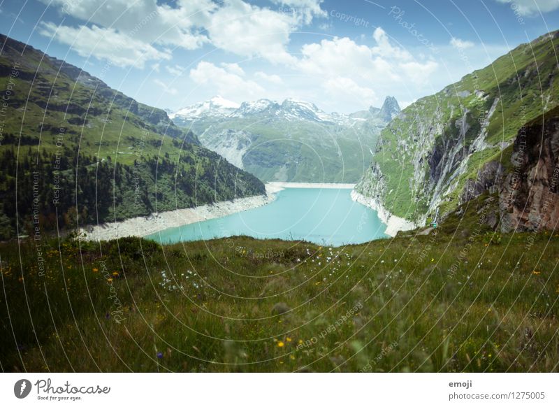 swissness Environment Nature Landscape Summer Meadow Hill Alps Mountain Lake Exceptional Natural Turquoise Reservoir glacial lake glacial water Switzerland