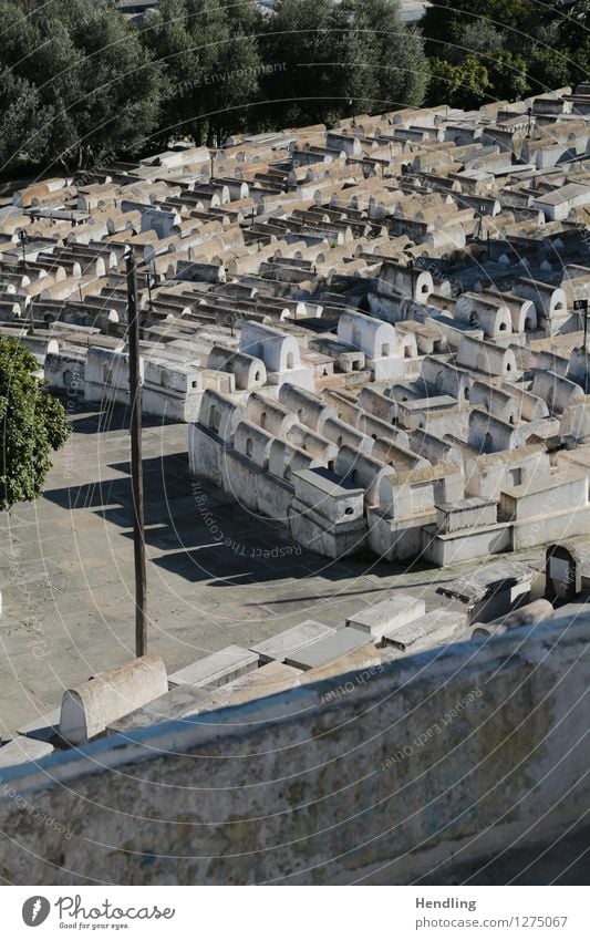 Jewish Cemetery Architecture Culture Fez Morocco Africa Manmade structures Stone To console Calm Hope Belief Sadness Death Respect Pride Uniqueness