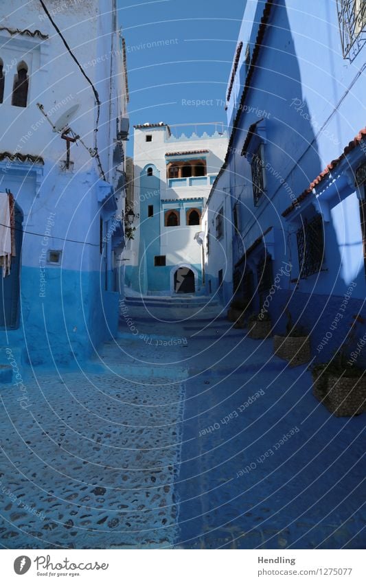 Blue through the street Artist Painter Museum Work of art Architecture Sky Sun Chechaouen Morocco Africa Small Town Downtown House (Residential Structure)