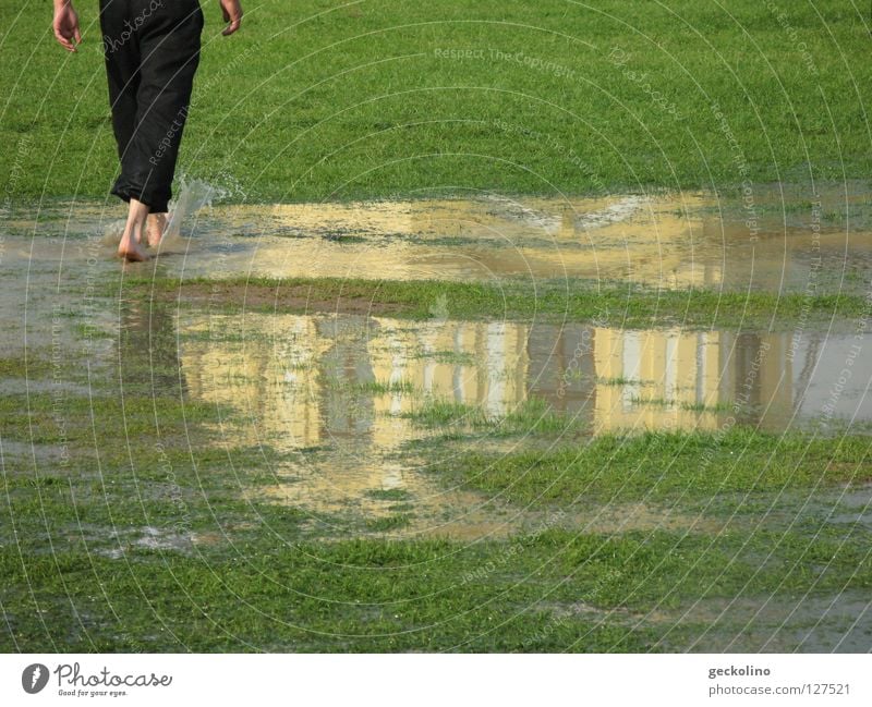 temporarily Puddle Reflection Rich pasture Barefoot Mud Documenta Meadow Wet Green Indifference Going Thunder and lightning Summer Rain Orangery Water d12