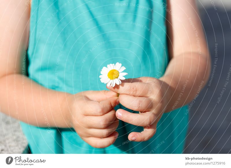Small girl with a beautiful daisy Summer Child Feminine Toddler Hand 1 Human being 1 - 3 years Nature Plant Flower Jump Yellow agriculture bloom sun organic