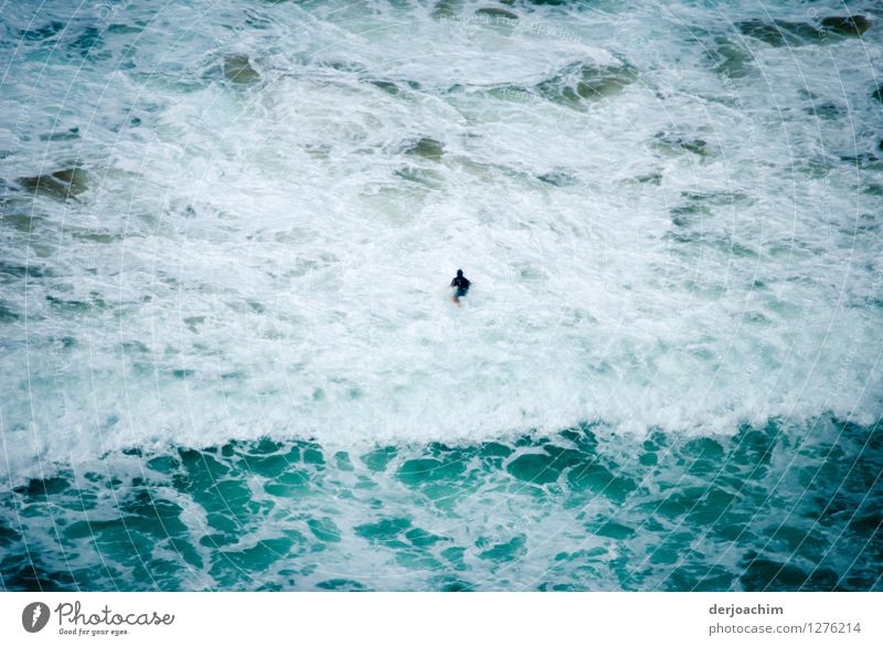 the man and the sea. Lonely swimmer in the surf on the east coast of Queensland / Australia. Joy Athletic Swimming & Bathing Summer Aquatics Masculine Adults 1