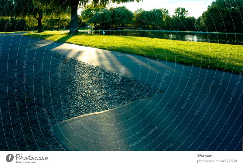 crazy Park Green Back-light Summer Evening sun Concrete Asphalt Lake Meadow Pond Body of water To go for a walk Leisure and hobbies Water fountain Closing time