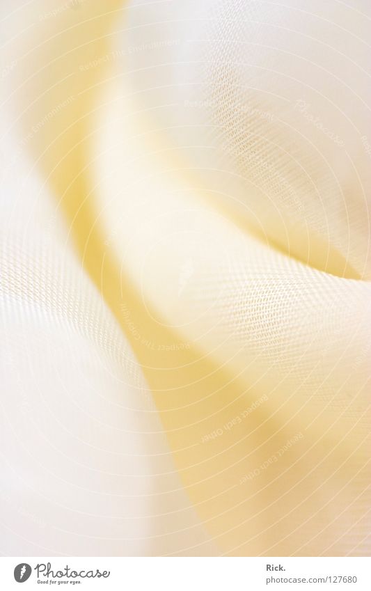 .cloth panels Cloth Delicate Pattern White Velvet Loop Woven Clothing Blur Friendliness Decoration Beautiful Calm Undulating Cuddly Macro (Extreme close-up)