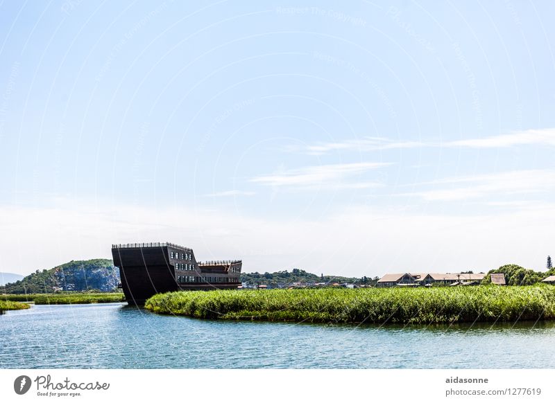 Taihu Lake Nature Landscape Water Sky Summer Beautiful weather Lakeside Calm Peace Environmental protection Nature reserve Freshwater geopark Colour photo
