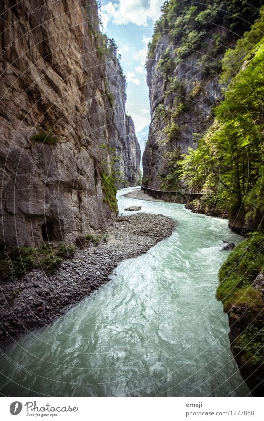 Aare Gorge Environment Nature Landscape Summer Beautiful weather Canyon River bank Exceptional Switzerland Tourist Attraction Natural phenomenon Force of nature