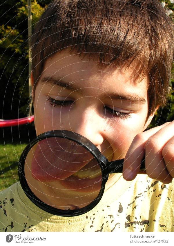 yikes Boy (child) Child Magnifying glass Enlarged Playing Skeptical Accuracy Small Large Investigate Agent Tracks Informer Stick out Bah Concentrate Human being