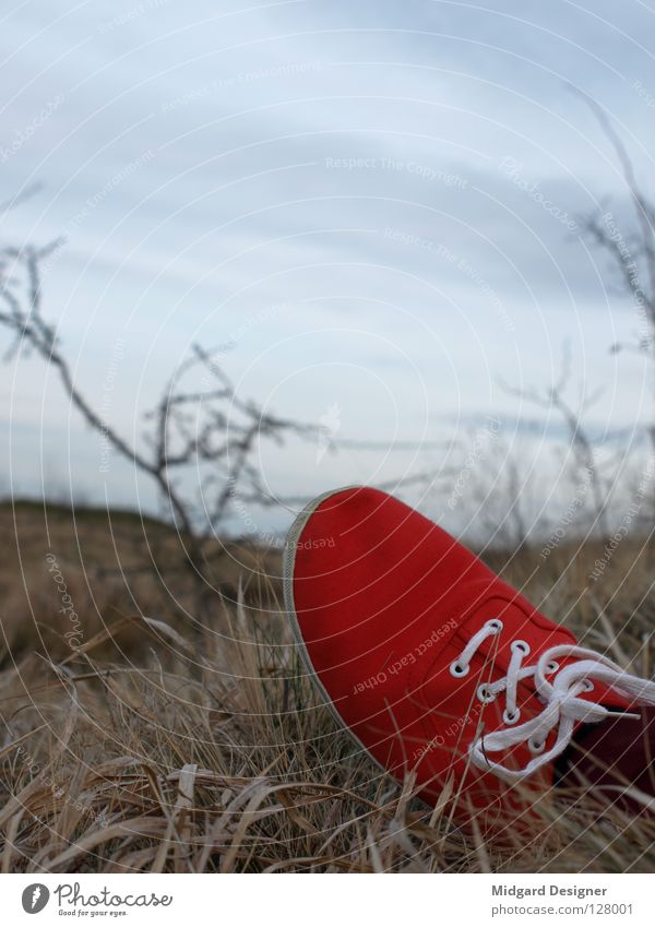 Red in grass 2 Winter Sky Grass Field Footwear Lie Blue White Doomed Deserted Sneakers Break Exterior shot Shoelace Copy Space top Copy Space middle Low-key