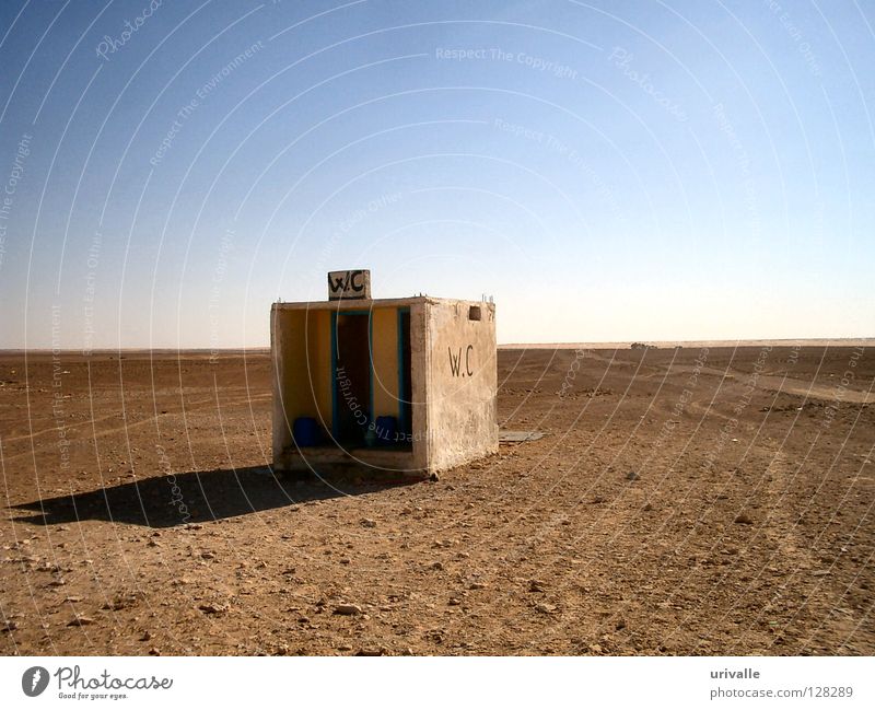 WC in desert Sky Desert Derelict Anger Aggravation Toilet water closed hot necessity far Africa stone Sand Wind blue sun