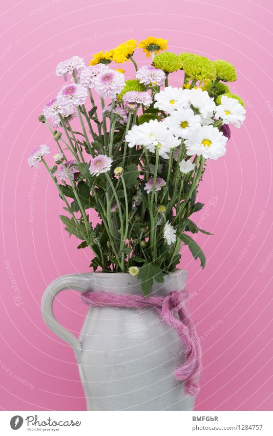 Colored filled jug Living or residing Flat (apartment) Decoration Spring Plant Flower Leaf Blossom Dahlia Marguerite Bouquet Bow Water jug stone jug Stone