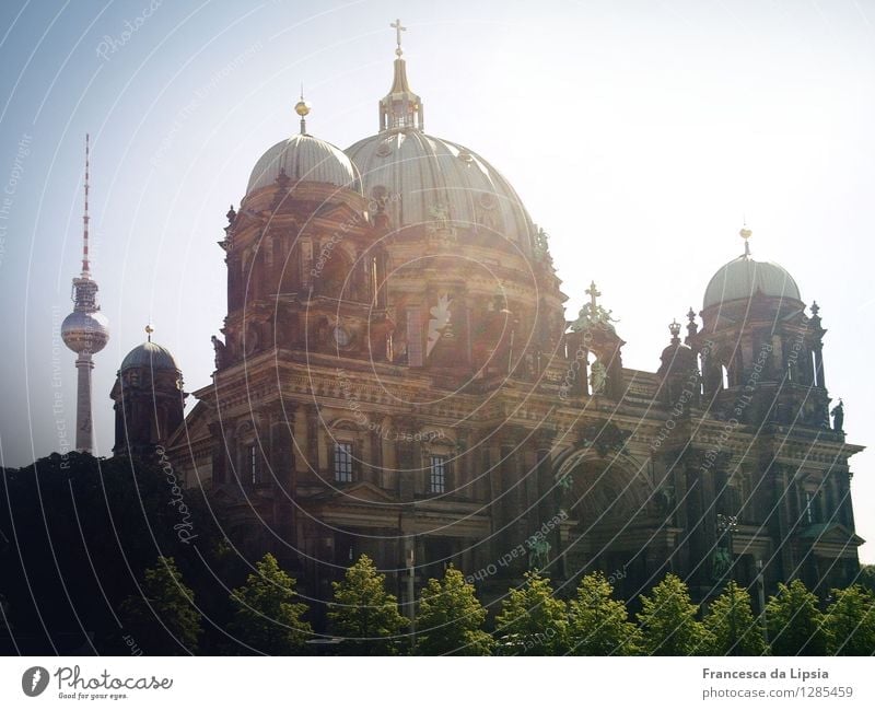 Summer in the city Sightseeing City trip Sun Museum Berlin Capital city Downtown Skyline Dome Park Tower Manmade structures Facade Tourist Attraction Landmark