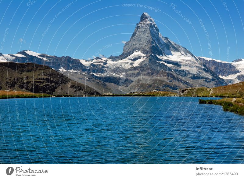 Swimming with a view of the Matterhorn Summer vacation Sun Mountain Hiking Nature Landscape Water Cloudless sky Beautiful weather Alps Peak Snowcapped peak