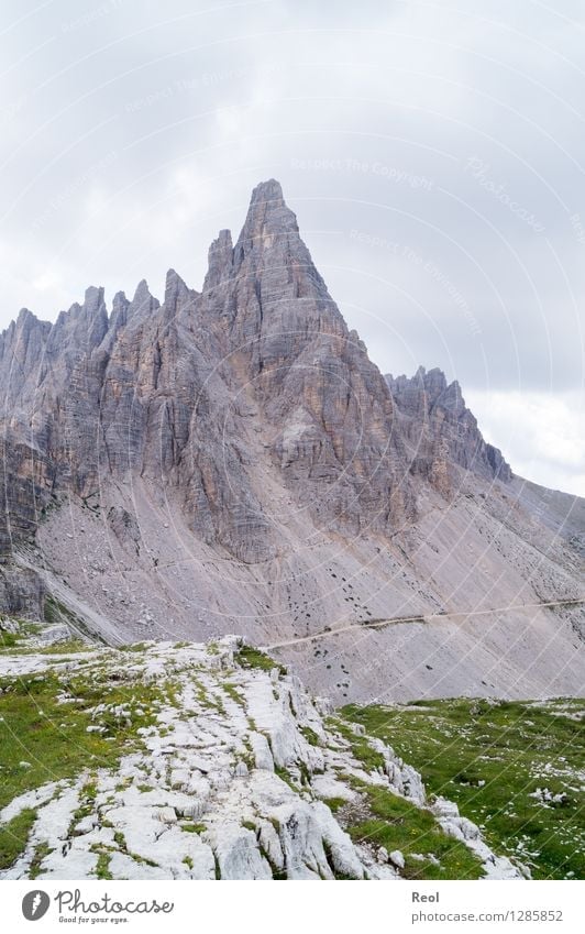 Paternkofel Vacation & Travel Tourism Trip Mountain Hiking Nature Landscape Elements Earth Sky Clouds Summer Meadow Rock Alps Dolomites South Tyrol Merlon Peak