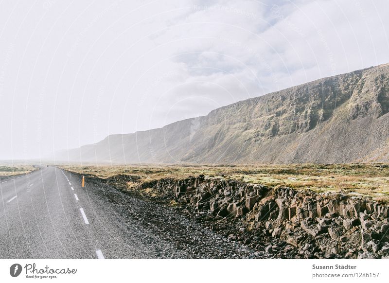 long distance Nature Loneliness Deserted Iceland Rock Carpet of moss Moss Road ditch cross section Street Car-free Exterior shot