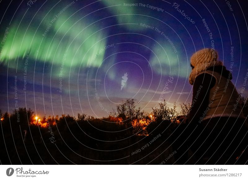 Iceland | northern lights Human being Feminine Body 1 Observe Aurora Borealis Selfoss Audience Natural phenomenon Flare Visual spectacle Shaft of light North