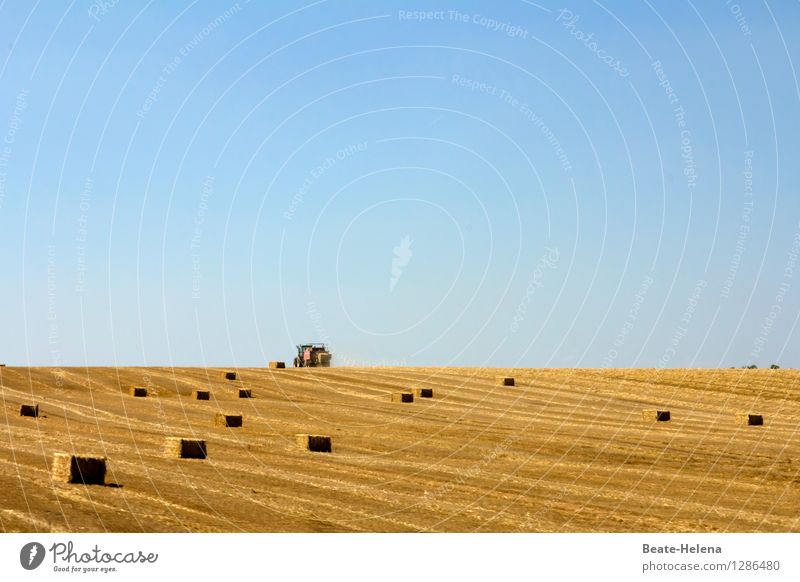 Form_completed Environment Nature Cloudless sky Summer Beautiful weather Agricultural crop Field Tractor Work and employment Esthetic Exceptional Blue Brown