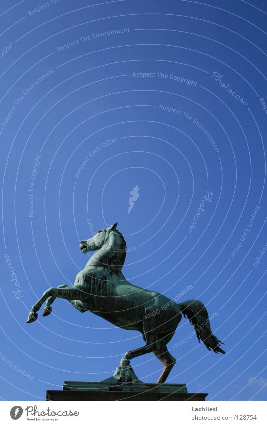 Welfenross II Elegant Freedom Academic studies Art Animal Sky Tourist Attraction Landmark Monument Horse Speed Blue Symbols and metaphors Coat of arms