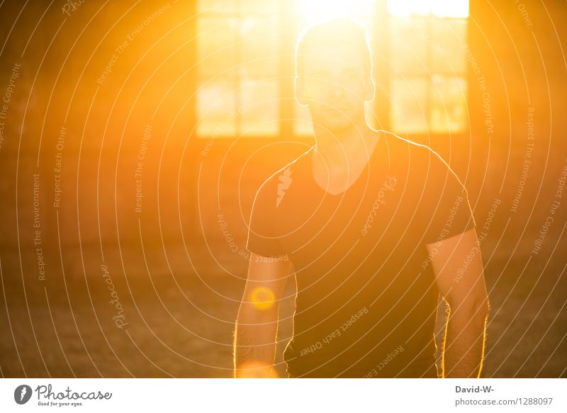 In the light of the sun Healthy Life Harmonious Relaxation Calm Human being Masculine Young man Youth (Young adults) Man Adults 1 Sun Sunrise Sunset Sunlight