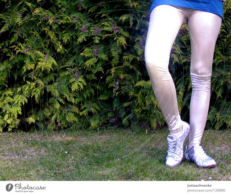 stork Footwear Woman Long-legged Retro Narrow Ballet Joy Clothing Legs Feet leggings Silver Sneakers Garden green eighties eightier Trashy Modern Short