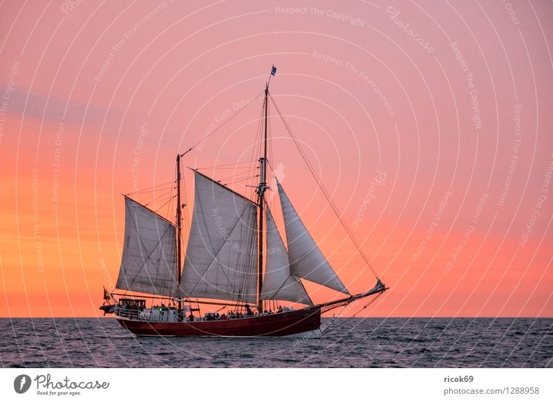 Sailing ship on the Hansesail Relaxation Vacation & Travel Tourism Water Clouds Baltic Sea Navigation Maritime Yellow Red Romance Idyll Hanse Sail Windjammer