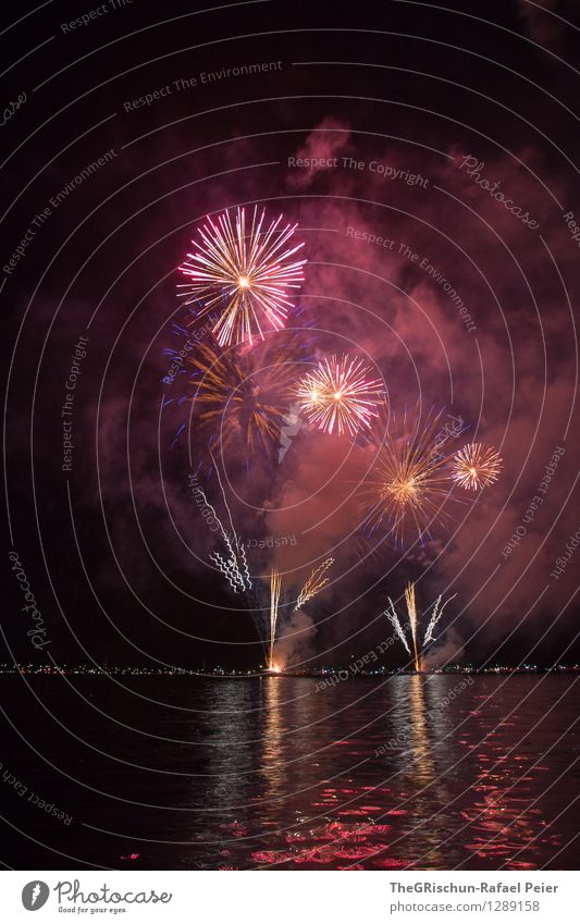 Fireworks 3 Art Work of art Stage play Violet Orange Pink Red Black White Reflection Lake Water Lakeside Firecracker Pattern impoant Spectacle Looking Flower